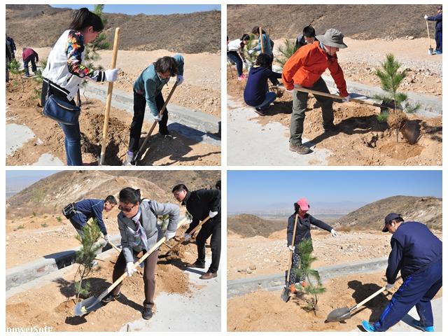 BETVLCTOR伟德在线